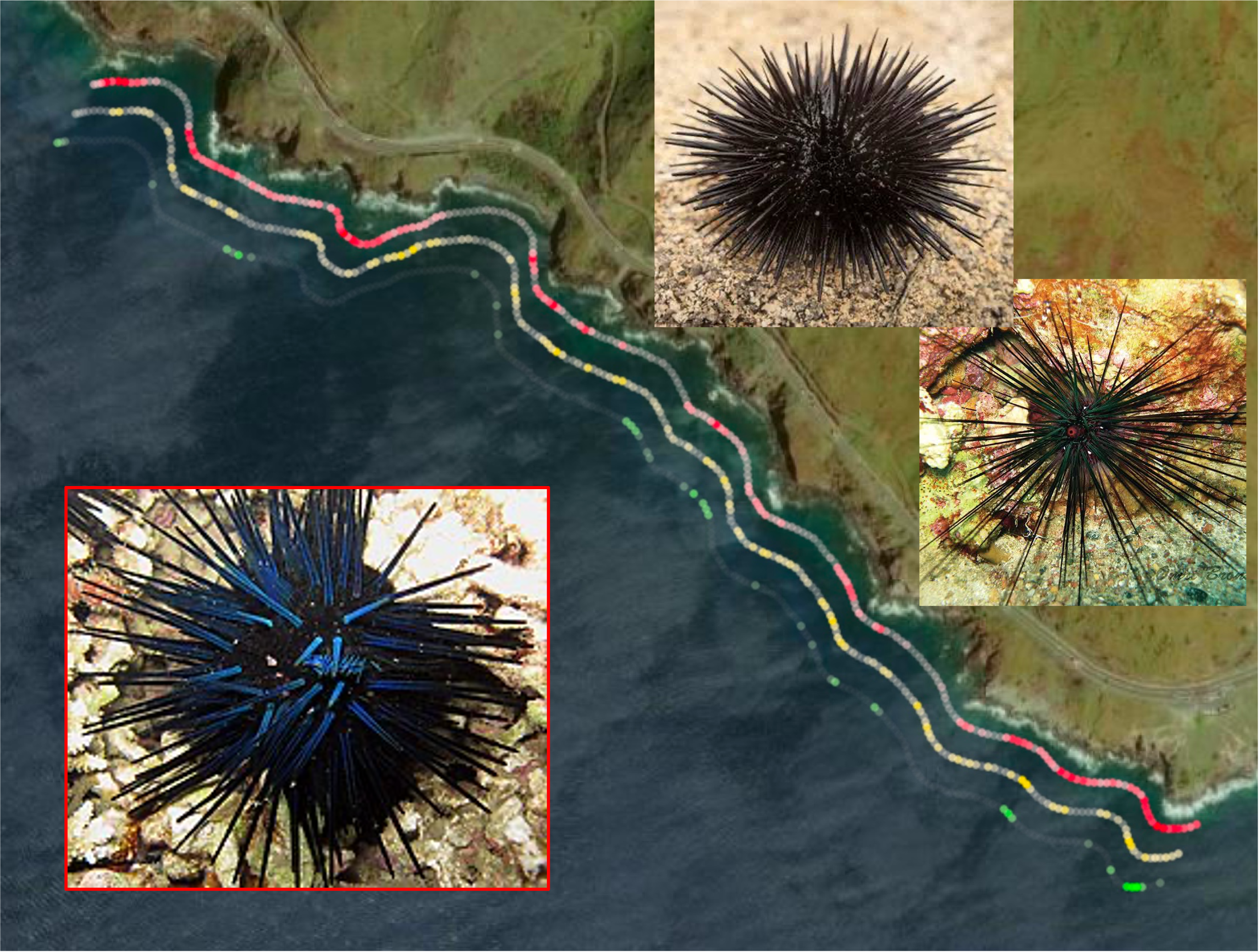 Coastline-scale data capture image 2